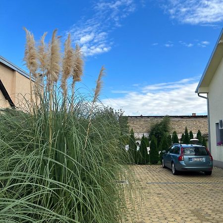 شقة Nest Zen Garden نوفي ساد المظهر الخارجي الصورة